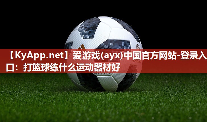 爱游戏(ayx)中国官方网站-登录入口：打篮球练什么运动器材好