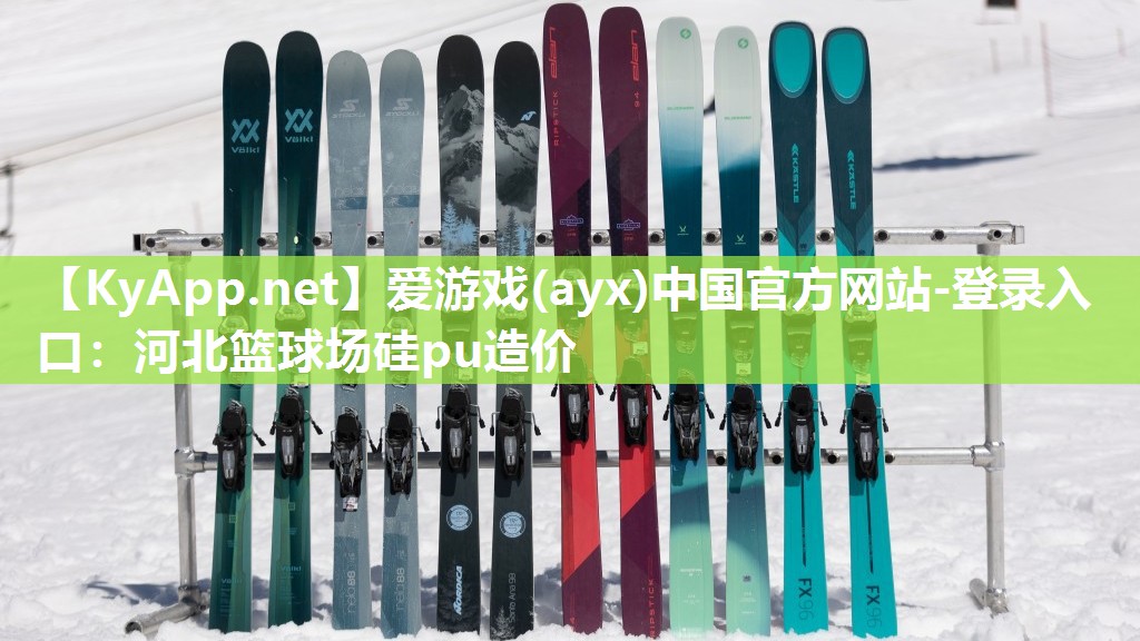 爱游戏(ayx)中国官方网站-登录入口：河北篮球场硅pu造价