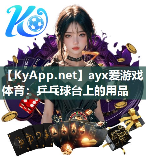 ayx爱游戏体育：乒乓球台上的用品