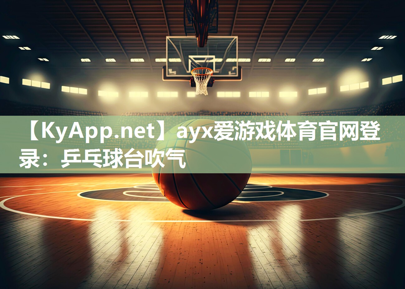 ayx爱游戏体育官网登录：乒乓球台吹气