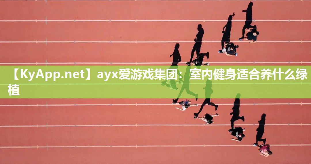 ayx爱游戏集团：室内健身适合养什么绿植