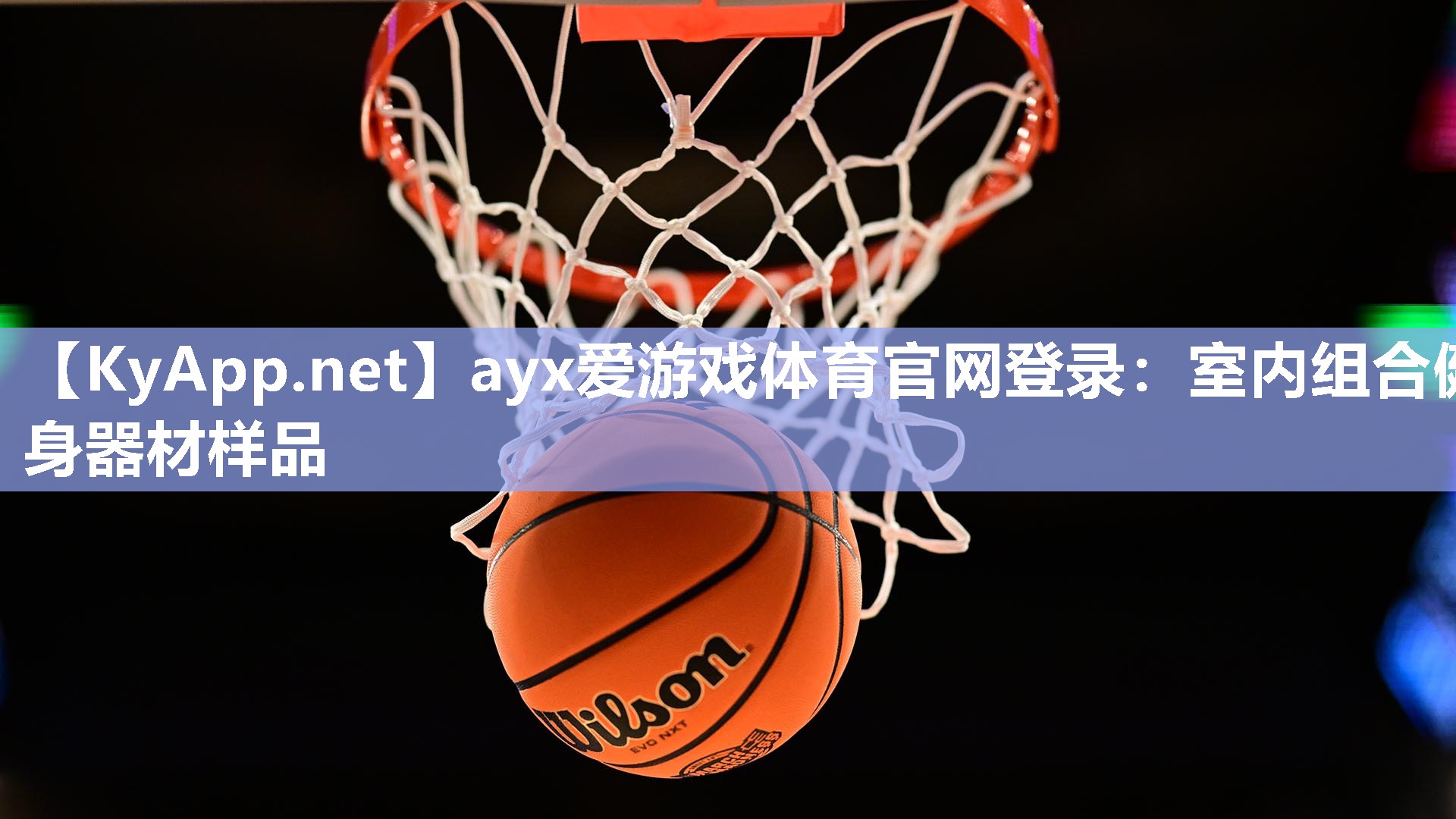 ayx爱游戏体育官网登录：室内组合健身器材样品