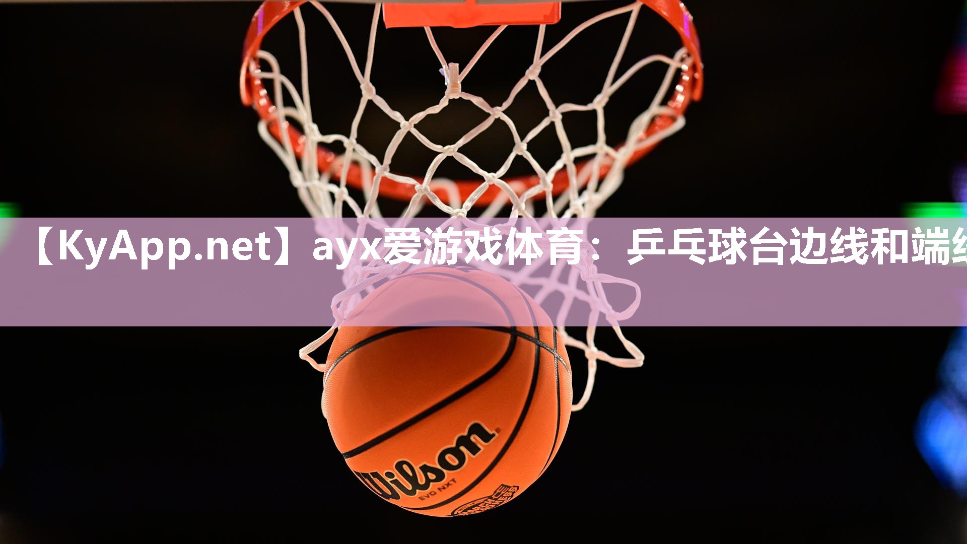 ayx爱游戏体育：乒乓球台边线和端线