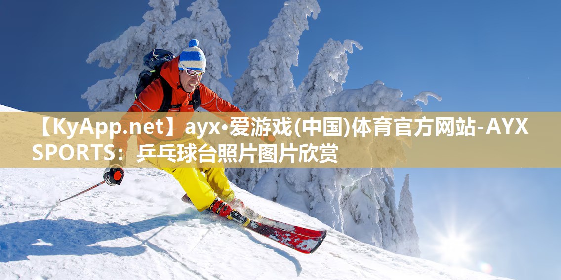 ayx·爱游戏(中国)体育官方网站-AYX SPORTS：乒乓球台照片图片欣赏